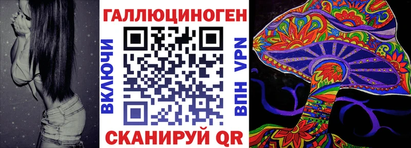 Купить закладки Усть-Джегута Галлюциногенные грибы Cubensis